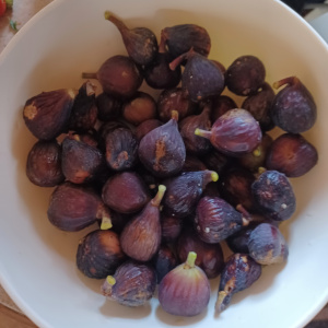 Bowl of Figs